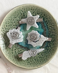 Shell Hairclips